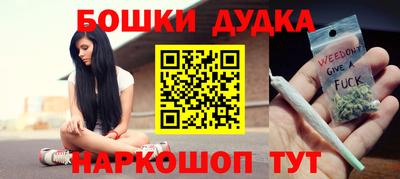 МДПВ Дубна