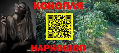 прущие грибы Донской