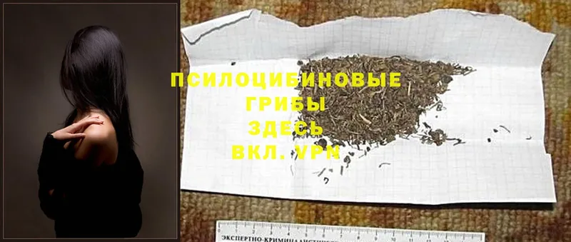 Галлюциногенные грибы GOLDEN TEACHER  купить наркоту  Заречный 