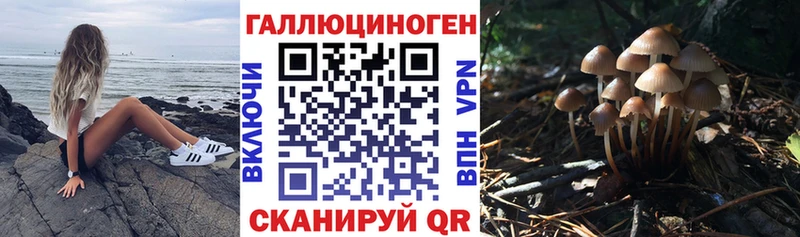 купить наркоту  Заречный  Галлюциногенные грибы GOLDEN TEACHER 