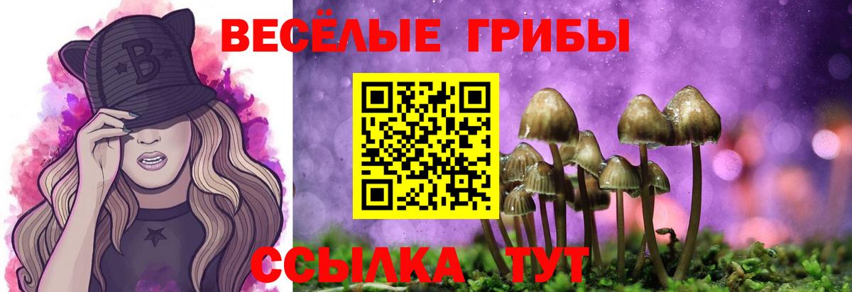 купить наркоту  Галлюциногенные грибы GOLDEN TEACHER  Вход с VPN  Заречный 