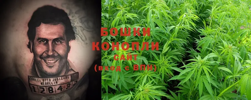 Канабис OG Kush  Заречный 